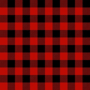 May include: A repeating pattern of red and black squares, forming a buffalo check design. The red squares have a textured appearance, contrasting with the solid black squares. The pattern is evenly spaced, creating a grid-like effect.