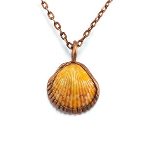 Real Seashell Necklace | Seashell Pendant | Sea Shell Necklace | Sea Shell Pendant | Seashell Jewelry | Electroformed Necklace | Boho