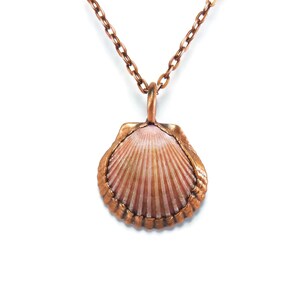 Real Seashell Necklace | Seashell Pendant | Sea Shell Necklace | Sea Shell Pendant | Seashell Jewelry | Electroformed Necklace | Boho