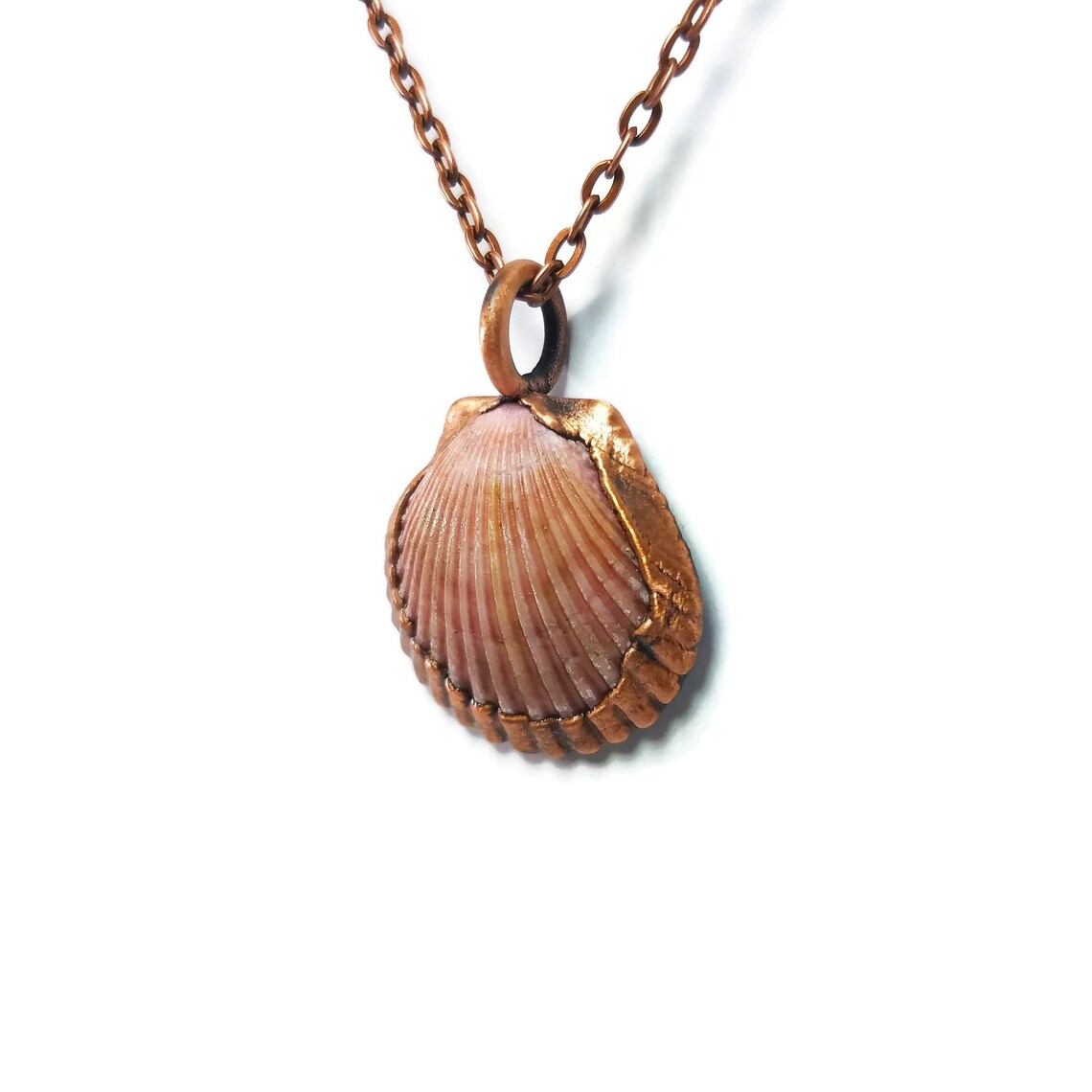 Real Seashell Necklace Seashell Pendant Sea Shell Necklace Etsy