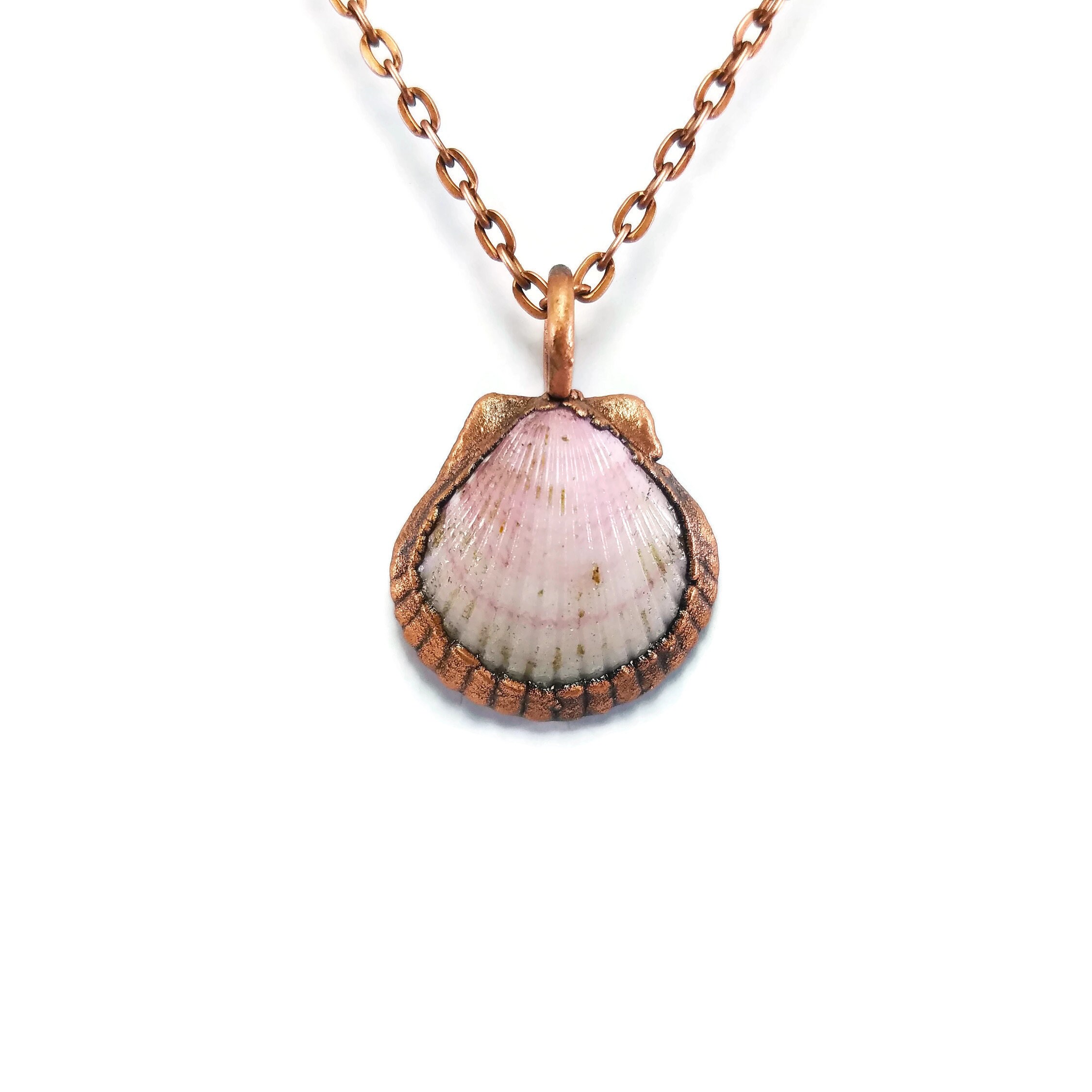Real Seashell Necklace Seashell Pendant 