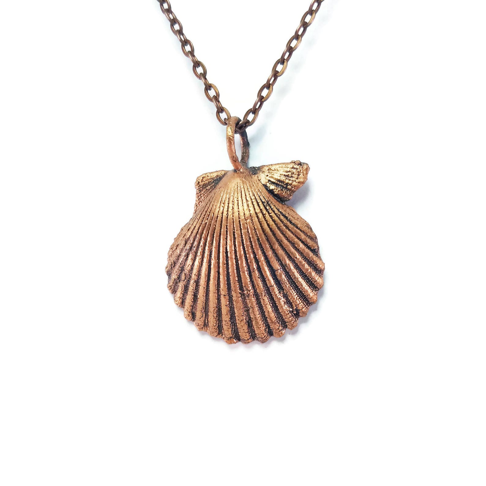 Seashell Necklace Seashell Pendant Sea Shell Necklace Etsy
