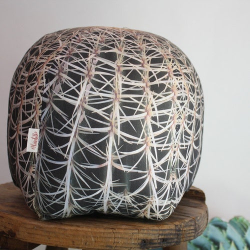 Barrel Cactus pillow made to order