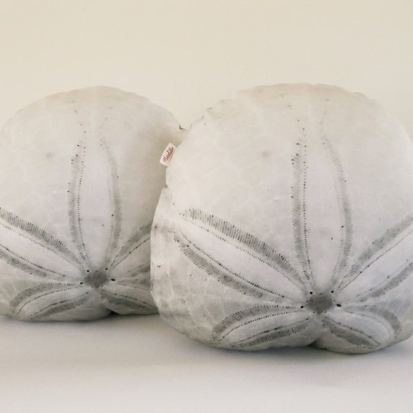 Sand-Dollar-Kissen auf Bestellung gefertigt