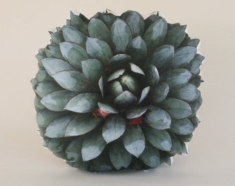 Succulent pillow : Agave Blue Glow