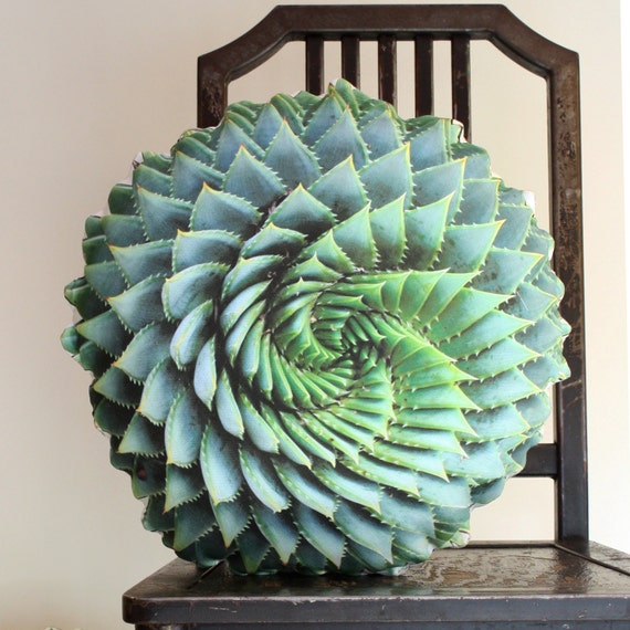 Spiral Succulent decorative pillow by Plantillo