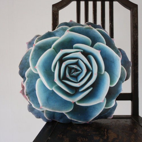 Spring Succulent pillow made to order (nature photography)