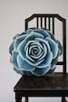 Spring Succulent pillow made to order (nature photography) 