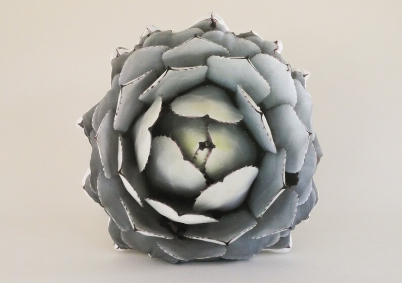 Succulent pillow made to order Agave parryi var truncata image 4