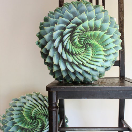 Spiral Succulent decorative pillow made to order (Aloe polyphylla)