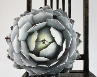 Succulent pillow made to order (Agave parryi var truncata)