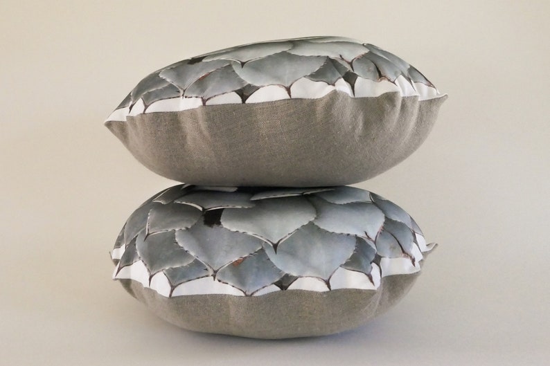 Succulent pillow made to order Agave parryi var truncata image 3