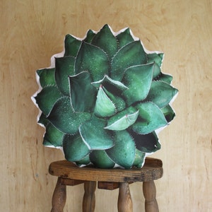 Ruth Agave Succulent Pillow (Agave Shawii)