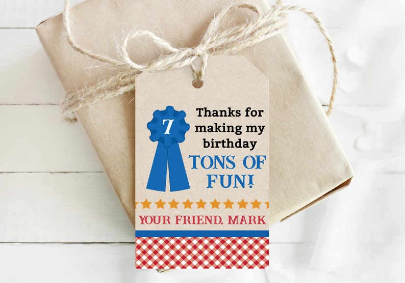 EDITABLE Boy County Fair Birthday Party Favor Tags Fair Themed Birthday Vintage County Fair Country Fair Fair Party Decor image 2