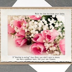 Life Lessons Bear Card • All Occassion Humor Card • Blank Inside • Just Because Card • Share a Laugh