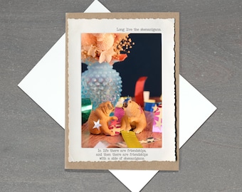 Slow Loris Star Card, Partners in Crime Card, Funny Friendship Card, Long Live the Shenanigans