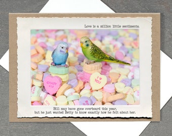 Budgie Conversation Hearts Valentines Day Card