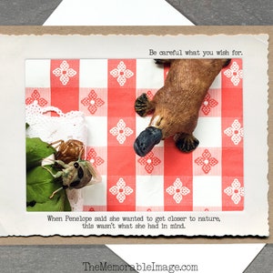 Platypus Nature Funny Card • Blank Inside