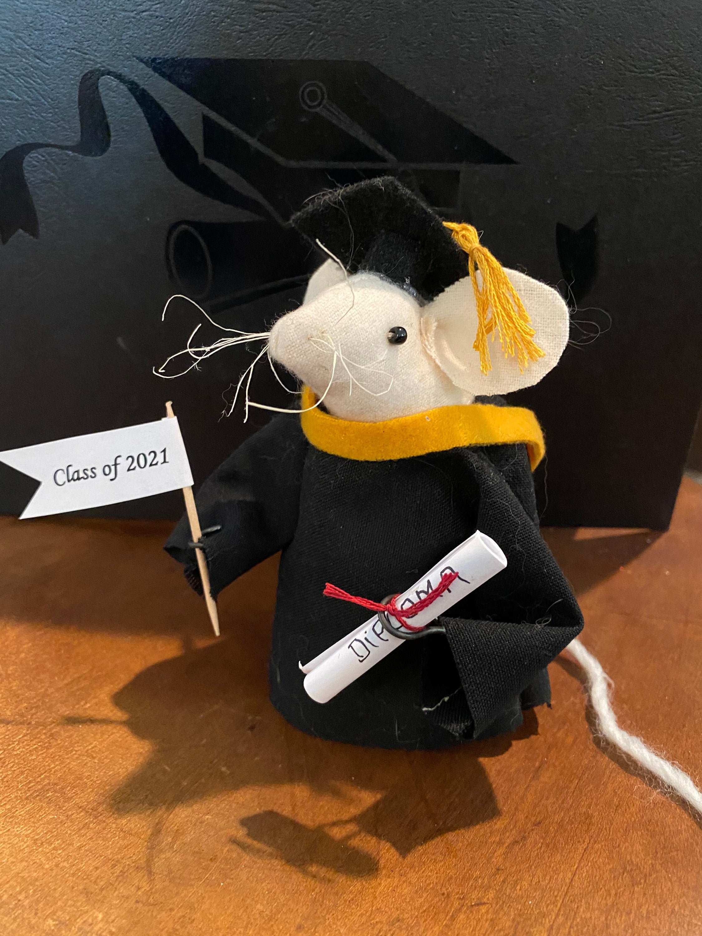 Mouse class 2024