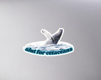 Slut for Cetaceans Whale Lover Sticker Whale Gifts, Whale Sticker, Laptop Sticker, Decals, Laptop Decals, Computer Stickers
