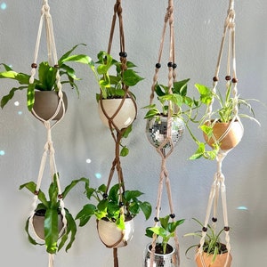 May include: Five macrame plant hangers with different colored beads and pots. The pots are brown, white, and silver. The plants are green and leafy.