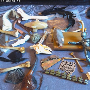 May include: An assortment of objects including bones, feathers, a toy figurine, a mouse, a pipe, and other curiosities are arranged on a blue surface. The items vary in color and texture, creating a unique collection.