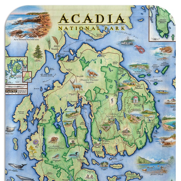 Acadia NP Map 16.5"x12.5" TV Tray | Bar Harbor Serving Tray - Northeast, Designed  by Xplorer Maps