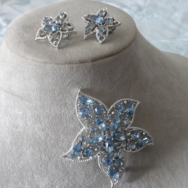 Going out of Business Was 35 now 8  Vintage Demi Signed Sara Coventry Beautiful Winter Blue Brooch and Earrings (VSP07)