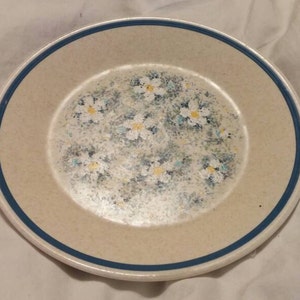 May include: A beige ceramic plate with a blue rim and a floral design featuring white flowers on a light brown background.