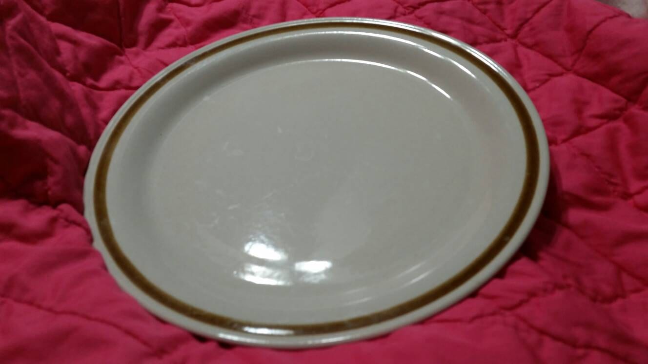 Genuine Stoneware "Vanilla Spice" Basic 10 inch Dinner Plate 1970s Kitchen