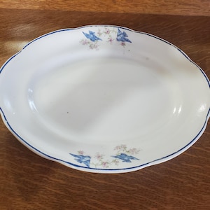 Early 1900s, Trenton Pottery, 13 inch Oval Ironstone Platter with Blue Birds and Cherry Blossom Design, Antique Serving Dish