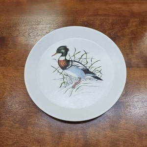 Può includere: Piatto in ceramica bianca con un'illustrazione colorata di un'anatra con piume verdi, marroni e blu. L'anatra è in piedi su un letto di erba verde e neve bianca. Il piatto ha un bordo bianco.