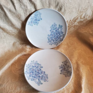 Set of 2, Made in Japan, 7.50 inch, Porcelain Salad Plates with Blue and Pink Flower Design, Decorative Serving Dishes