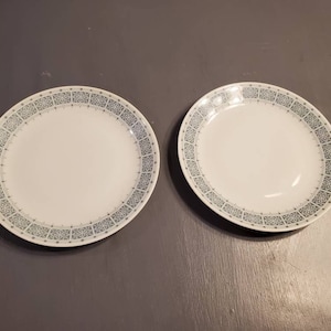 Rare Find, Bavaria Schirnding, Set of 2, 7.60 inch Salad Plate with Light Blue Flowers and Dot Border, Serving Set