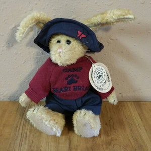 8 inch  Stuffed Rabbit with &quot;Camp Heart Briar&quot; , from Boyd&#39;s Bears and Friends Collection, with Original Tags