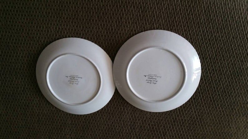 On Sale Set of 2 Ruffled Blue Ridge Pottery 9.10 inch Luncheon or Dinner Plates with Pink and Purple Flowers and Highlights