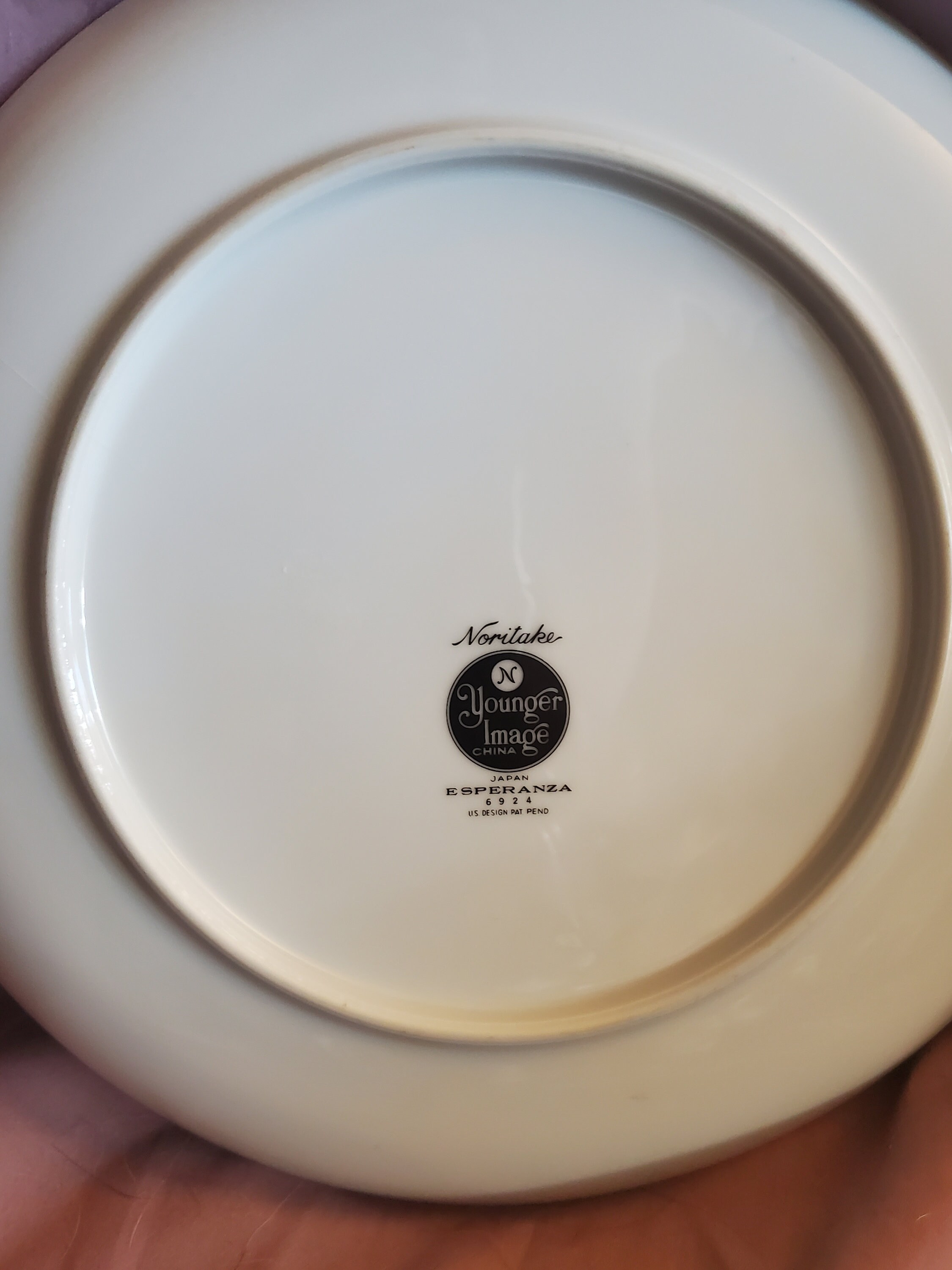 Noritake, Younger Image China, Esperanza, 10.40 Inch Dinner or