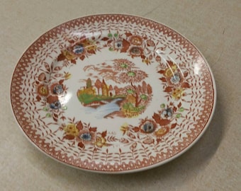 Plato de cena/chuleta de 10,25 pulgadas sin marcar Nasco Mountain Woodland. Cocina de época. Plato de repuesto, River City Scene