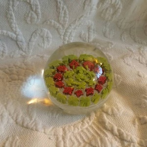 Four Leaf Clover and Red Bed of Flowers Round Glass  Paperweight/Office Decor/Home Collectible