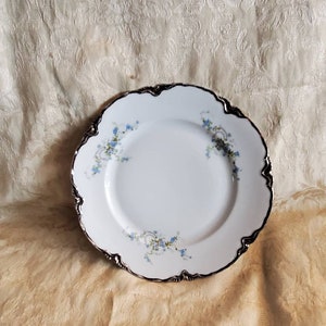 Rare Hutschenreuther, Selb, Germany, 9.80 inch White Dinner Plate with Platinum Rim, Blue Tea Rose Swag Flower Design, Fine Dining