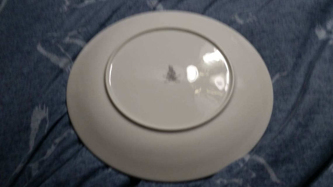 Royal Doulton English Translucent China Greenbrier Pattern 10.5 Inch ...