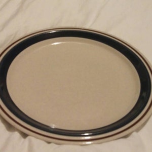 May include: A white ceramic dinner plate with a blue and brown rim.