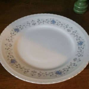 Peut inclure: Assiette en céramique blanche avec un motif floral bleu sur le bord. L'assiette a un bord festonné et une surface lisse et brillante. Un petit objet décoratif vert est à l'arrière-plan.