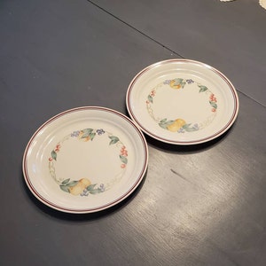 Set of 2, Abundance Pattern, 10.25 inch Corelle,  Dinner Plates by Corning Ware,  Replacement Dishes