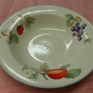 Savoir Vivre Luscious 8.25 inch Rimmed Soup or Salad Bowl by Noritake with Large Fruit On Rim, Blue Trim, White Back,Made in Thailand