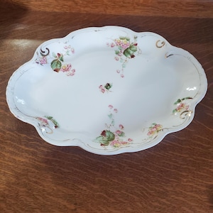 1800s Homer Laughlin, Semi Vitreous China, An American Beauty, 14.75 inch Oval Serving Platter, Pattern 331, Antique Serving Platter