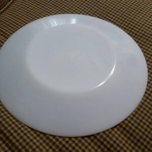 May include: White ceramic dinner plate with a slightly raised rim.