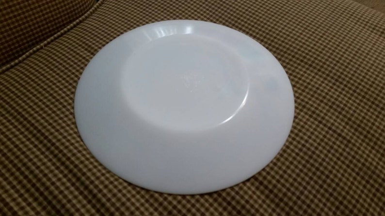 May include: White ceramic dinner plate with a slightly raised rim.