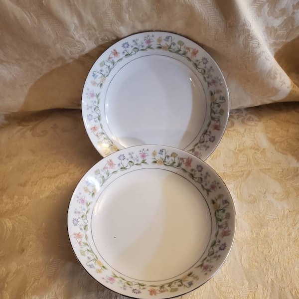 Set of 2, 1982, Ashley Overseas LTD, 7.5 inch Coupe Cereal or Salad Bowl, Eternal Love Pattern, Multicolor Floral Rim, Platinum Trim