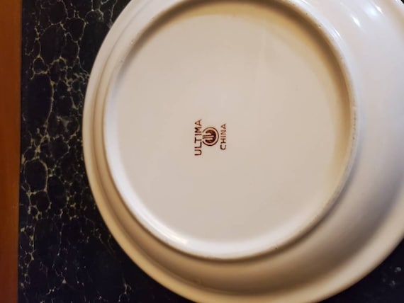 8.90 Inch, Antique White, Ultima China, Luncheon Dish, Durable